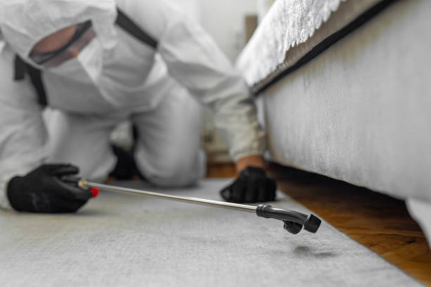 Professional Bed Bug Control technician working in Storey County County, NV